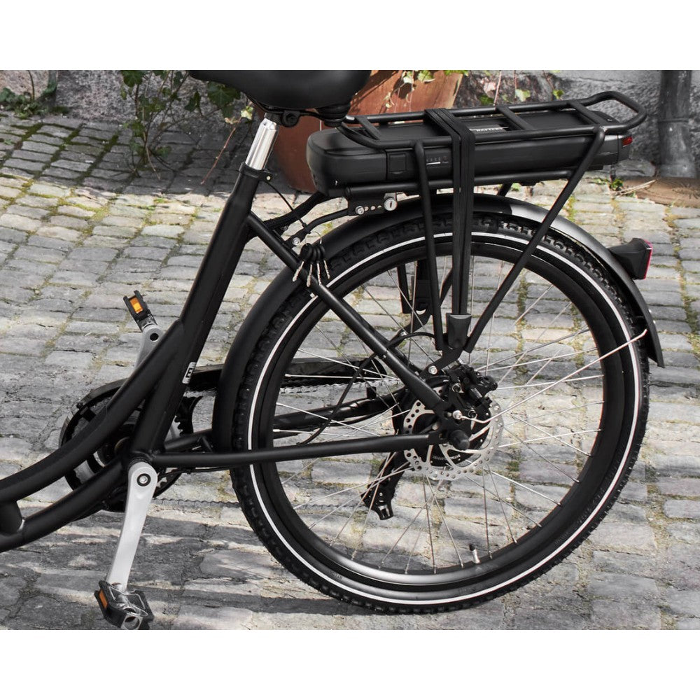 Amcargo Ultimate Curve Cargo Electric Bike - Pedal & Ride