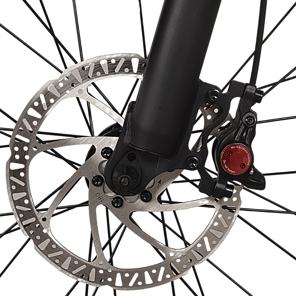 Gin X Step-Through Hybrid Electric Bike 250W - Pedal & Ride