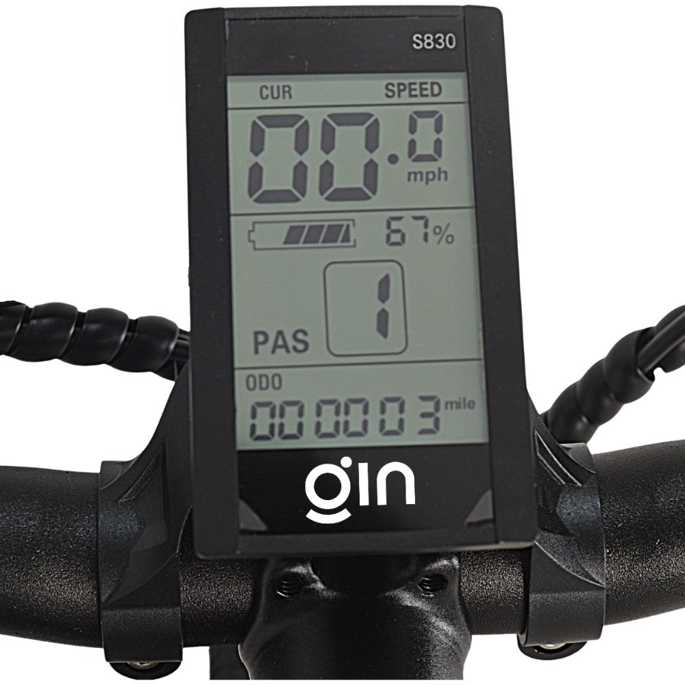 Gin X Step-Through Hybrid Electric Bike 250W - Pedal & Ride