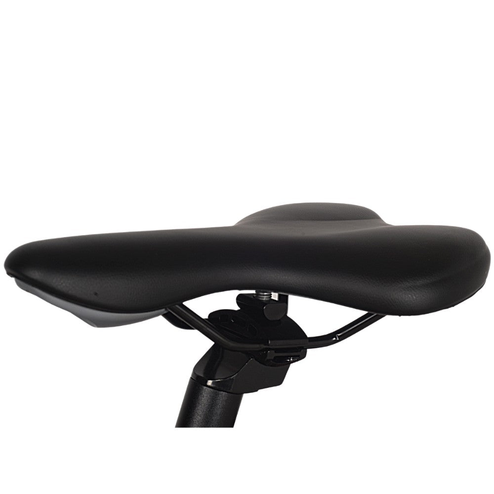 Gin X Step-Through Hybrid Electric Bike 250W - Pedal & Ride