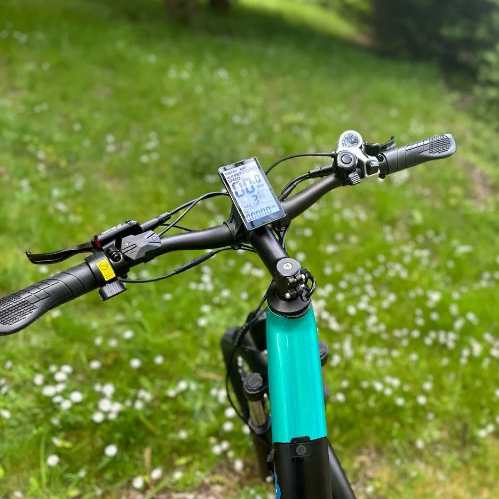 Gin X Step-Through Hybrid Electric Bike 250W - Pedal & Ride