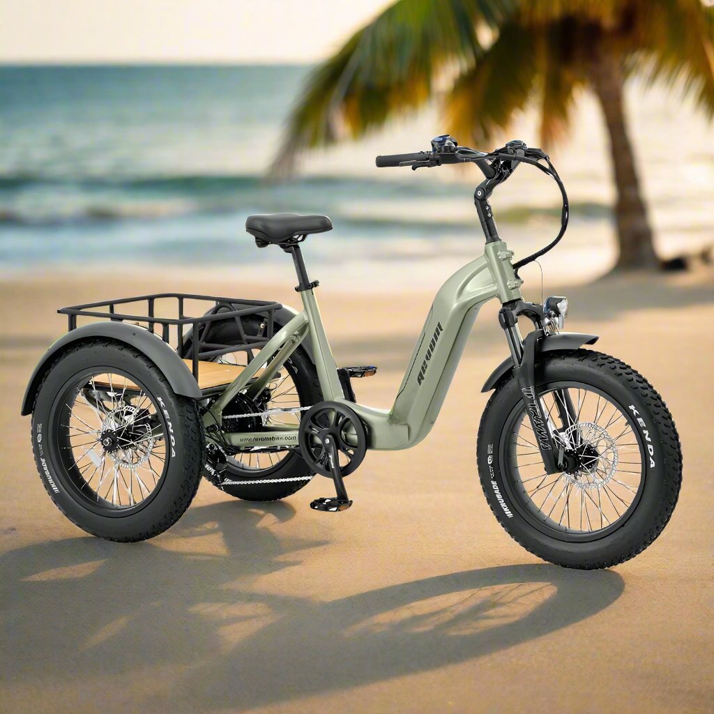 Revom T2 Mover Cargo Tricycle Electric Bike - Pedal & Ride