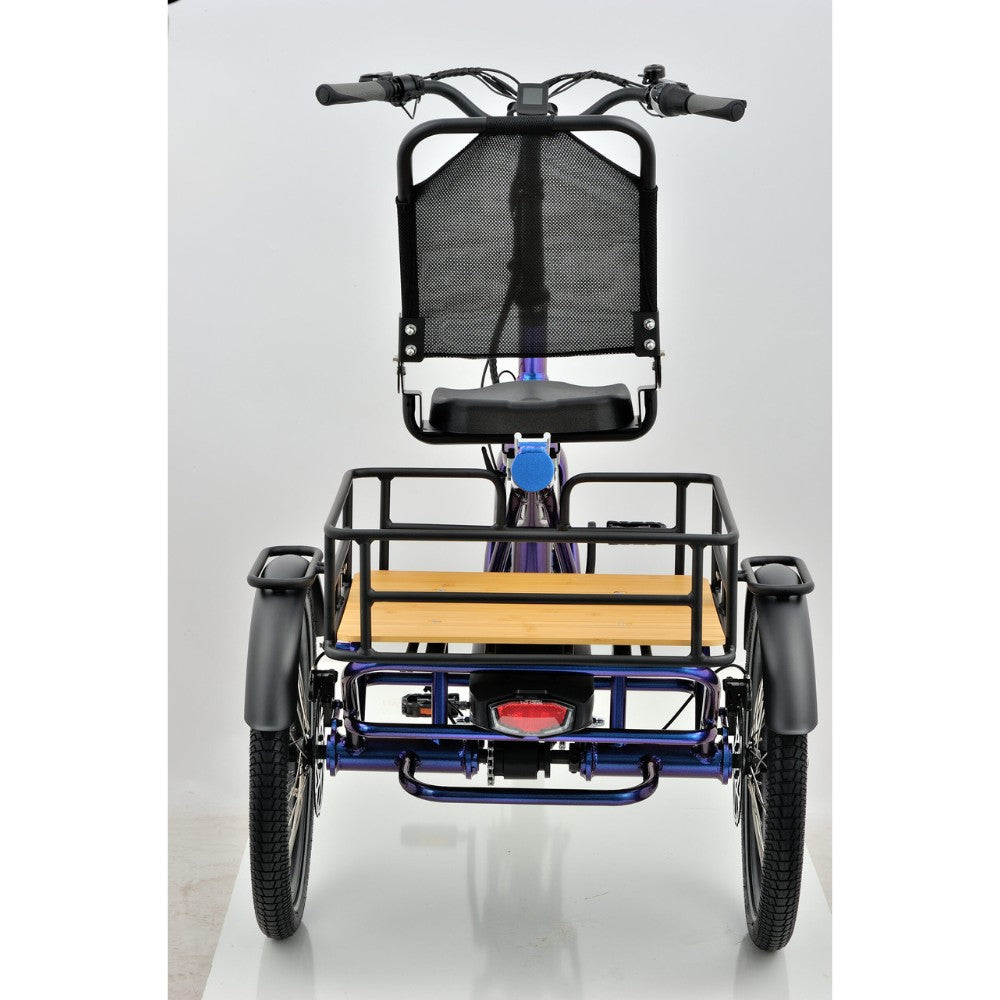 Revom T4 Semi Recumbent Electric Bike (New!) - Pedal & Ride